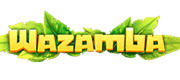 Wazamba